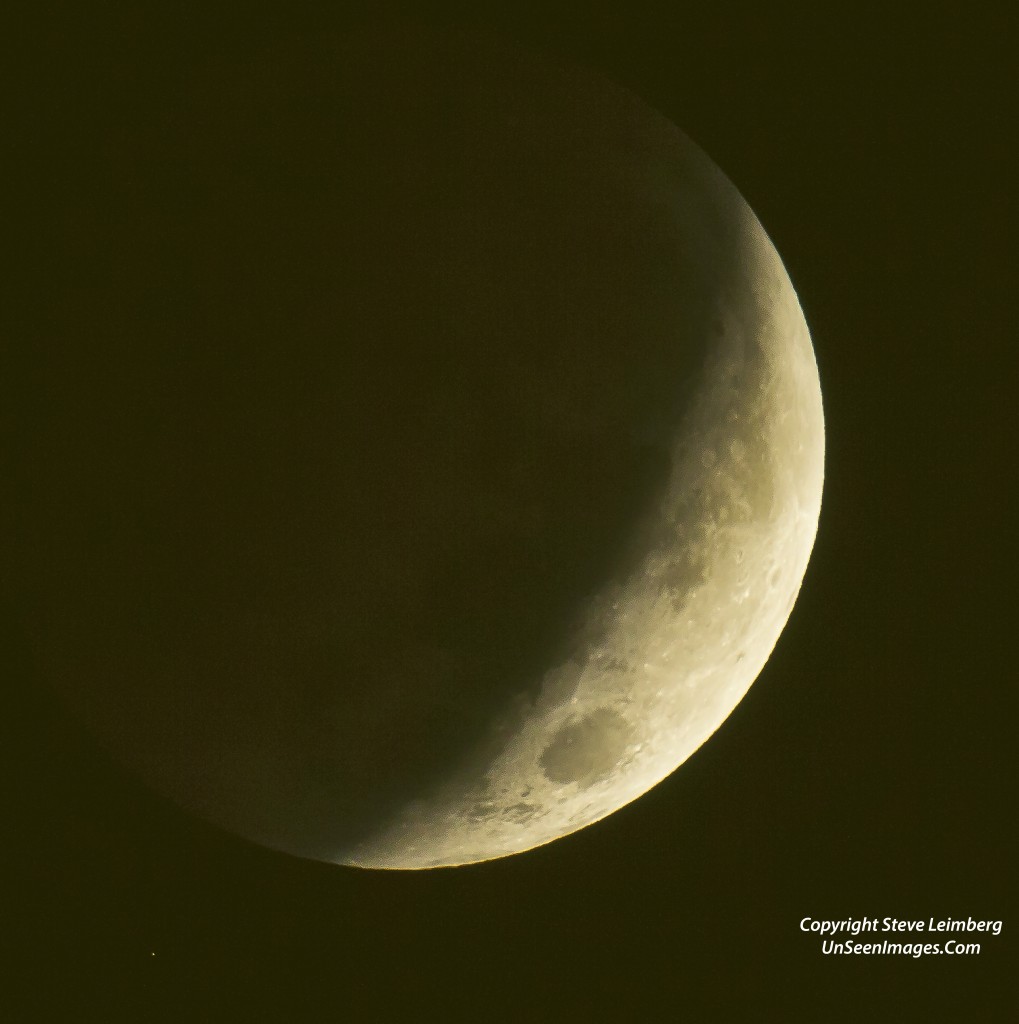 Stephen Leimberg - Eclipse of Moon Crop