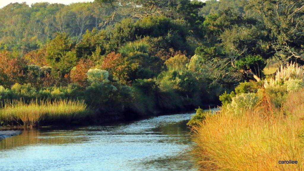"Fall on the Egan's Creek Greenway" Photo courtesy of Carolee Adams
