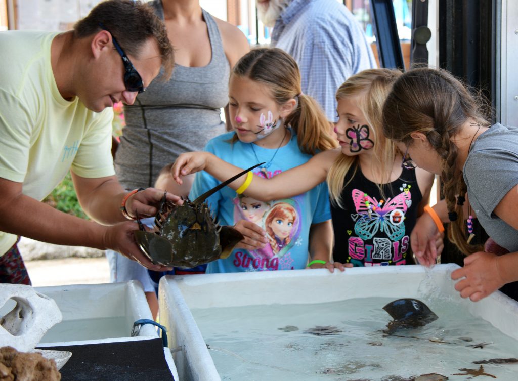 Wild Amelia's Nature Fest attracts hundreds Fernandina Observer
