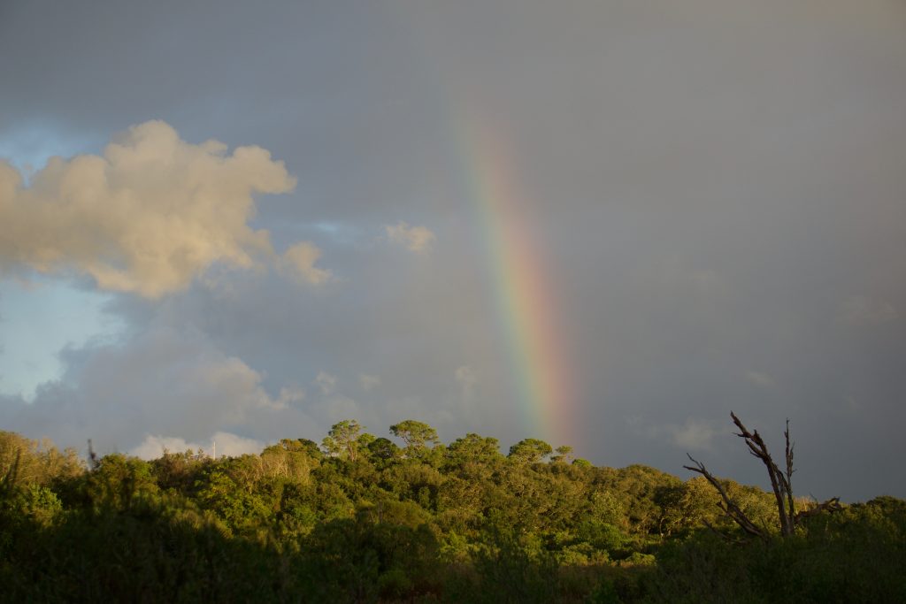 priscilla-footlik-rainbow
